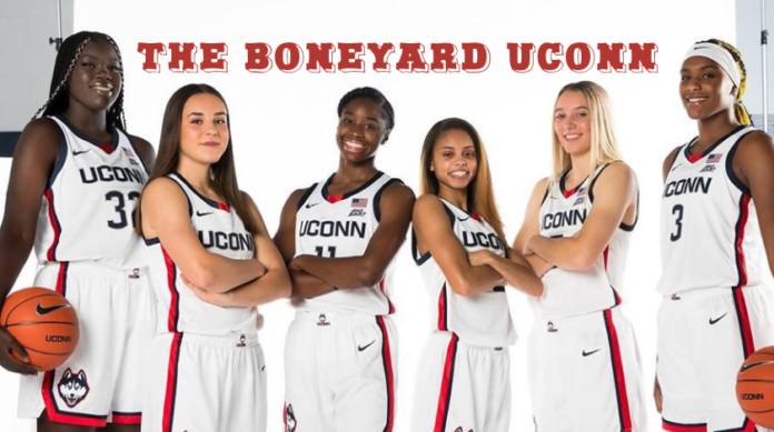 The Boneyard Uconn